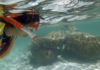 “Mahahual possesses one of the most important reefs on the planet”: Semarnat confirms formal cancellation of Perfect Day.