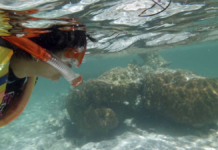 “Mahahual possesses one of the most important reefs on the planet”: Semarnat confirms formal cancellation of Perfect Day.
