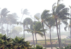 BCS Forecasts Intense Cyclone Season: At Least 15 Cyclones