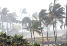 BCS Forecasts Intense Cyclone Season: At Least 15 Cyclones