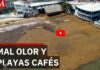 Tourists leave Playa del Carmen due to sargassum invasion and bad smell