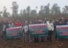 Mexico: Avocado expansion and organized crime surround the murders of two environmental defenders in Michoacán