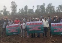 Mexico: Avocado expansion and organized crime surround the murders of two environmental defenders in Michoacán