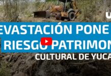 Vestiges and heritage in Dzoyilá, Yucatán, are endangered by real estate devastation