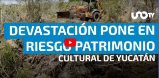 Vestiges and heritage in Dzoyilá, Yucatán, are endangered by real estate devastation