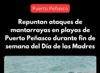 Authorities in Puerto Peñasco warned beachgoers after a significant increase in stingray attacks was recorded over the weekend.