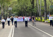 Marches are planned for this Saturday, May 2nd, in Mexico City; there will be a demonstration for World Marijuana Liberation Day in Mexico