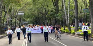 Marches are planned for this Saturday, May 2nd, in Mexico City; there will be a demonstration for World Marijuana Liberation Day in Mexico