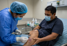 Yucatán, with a new case of screwworm in humans: it remains at the top