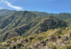 Sierra La Laguna is one of the best preserved ecosystems in Baja California Sur