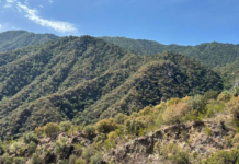 Sierra La Laguna is one of the best preserved ecosystems in Baja California Sur