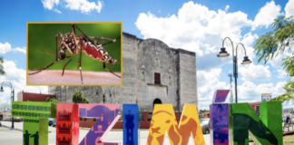 Dengue in Yucatán: Tizimín Records Its First Case of 2026 and a “Very Aggressive” Virus