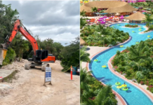 What Is Happening in Mahahual, and Why Are There Protests Against Royal Caribbean Over the ‘Perfect Day’ Project? A Timeline of the Case in Quintana Roo