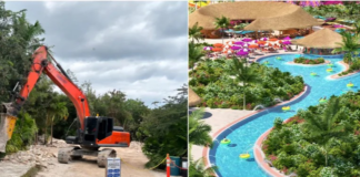 What Is Happening in Mahahual, and Why Are There Protests Against Royal Caribbean Over the ‘Perfect Day’ Project? A Timeline of the Case in Quintana Roo