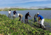 22 tons of garbage removed from the San José del Cabo Estuary