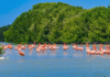 Perfect beaches to visit with Mom in Yucatán this May 10th