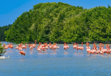 Perfect beaches to visit with Mom in Yucatán this May 10th