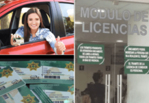 Free driver’s licenses in Yucatán 2026: who can obtain them and how to apply