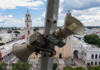 Why is there no earthquake alert system in Yucatán? The explanation few know