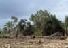 Amidst the real estate boom and farm pollution, Yucatán promotes a new model of environmental conservation.