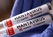 Is there a risk of hantavirus in Yucatán? A specialist explains.