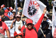 CNTE confirms national strike and mega-march this June 1st in Mexico City, days before the 2026 World Cup