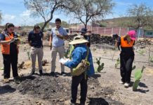 It’s not a volcano or a geyser; specialists identify the phenomenon as a mud pit in Michoacán