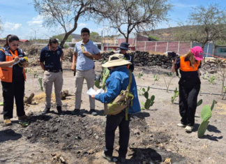 It’s not a volcano or a geyser; specialists identify the phenomenon as a mud pit in Michoacán