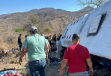 At least 11 dead and 32 injured in a bus accident in Nayarit