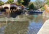 A favorite for over 50 years: the Morelos spa with crystal-clear waters of Popocatépetl is ideal for a getaway