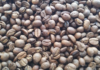 Domestic coffee consumption in Chiapas remains low despite high production