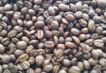 Domestic coffee consumption in Chiapas remains low despite high production