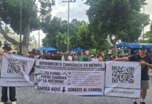 Cannabis movement resumes protest and holds march in Mérida