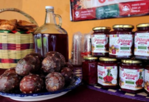 Huitziltepec Tourism Promotes “Pitaya and Pitahaya Fair”