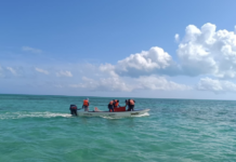 Tourist found dead after going missing after falling from a kayak in Holbox