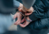Alleged Members of the Chiapas-Guatemala Cartel Arrested