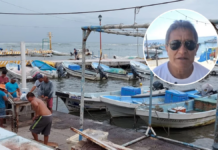 Fake news causes drop in fish sales in Veracruz; contaminated wildlife ruled out