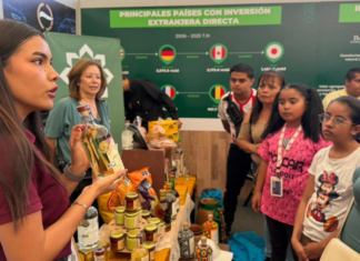 Made in San Luis Potosí: 5 local brands that are growing in Mexico