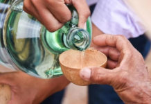 The date for the 2026 Mezcal Fair in Oaxaca has been announced; find out when it will be and what activities will take place.