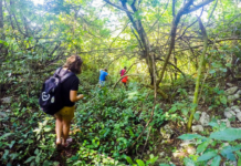 Hiking in Quintana Roo is growing as an alternative to mass tourism.