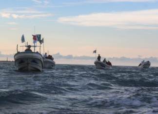 Tamaulipas | Environmental Mission at Playa Bagdad Denounces Foreign Presence | Aristegui Nature