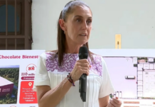 Sheinbaum seeks to bring Mexican cocoa to Europe; highlights AGM signing in Tabasco