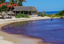 These would be the factors behind the drop in tourism in Cancun and Playa del Carmen