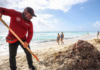 The massive beaching of sargassum intensifies in Quintana Roo.