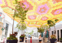 A colorful touch to Mérida’s Gastronomic Corridor
