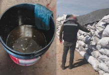 Profepa seizes over 200 tons of charcoal and shuts down company in Durango.