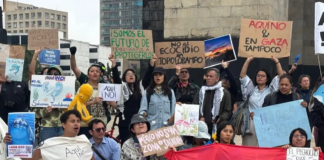 Protesters march in Mexico City against the fertilizer plant in Topolobampo