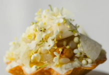 Michelin Guide Jalisco: Guadalajara conquers the 2026 list; this restaurant was the big surprise.