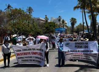 Fishing sector marches in Mazatlán to demand a halt to illegal shrimp fishing