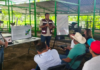 The Playa del Carmen government promotes the use of sargassum to strengthen the livestock sector.